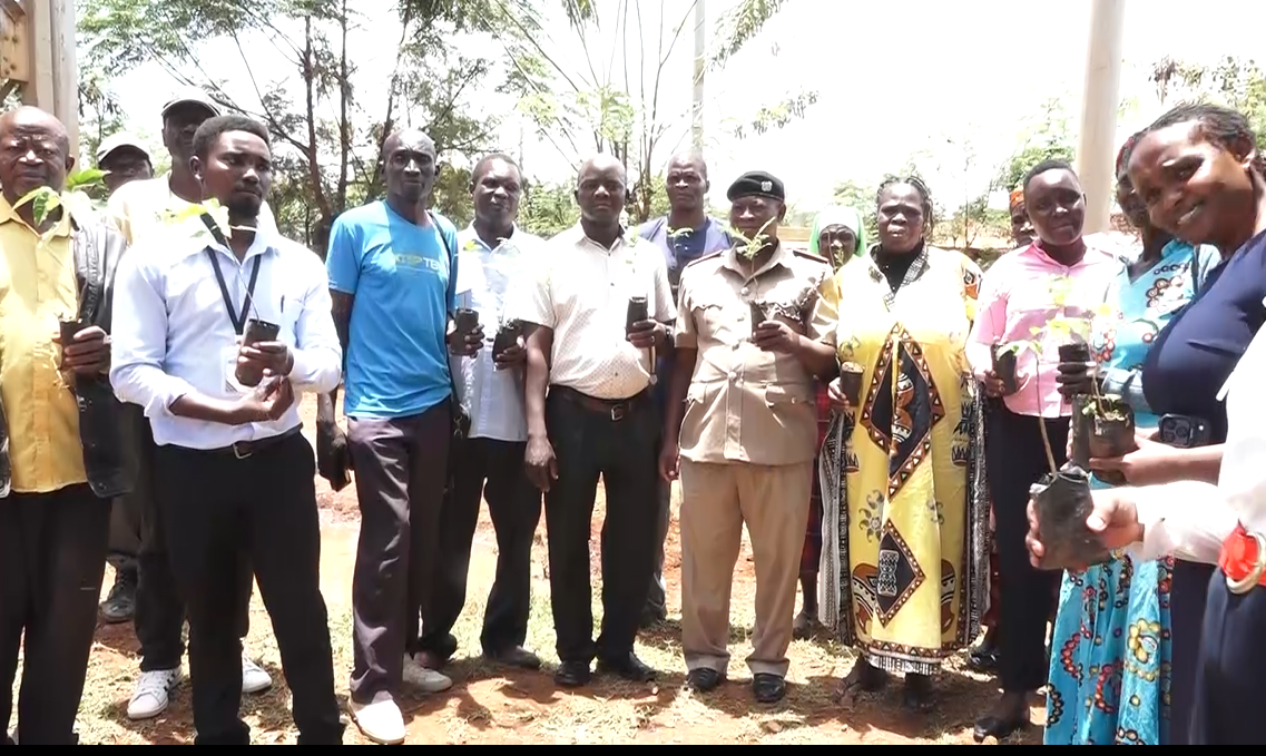 Officials and community members hold seedlings during a Mazingira Day event in Siaya County