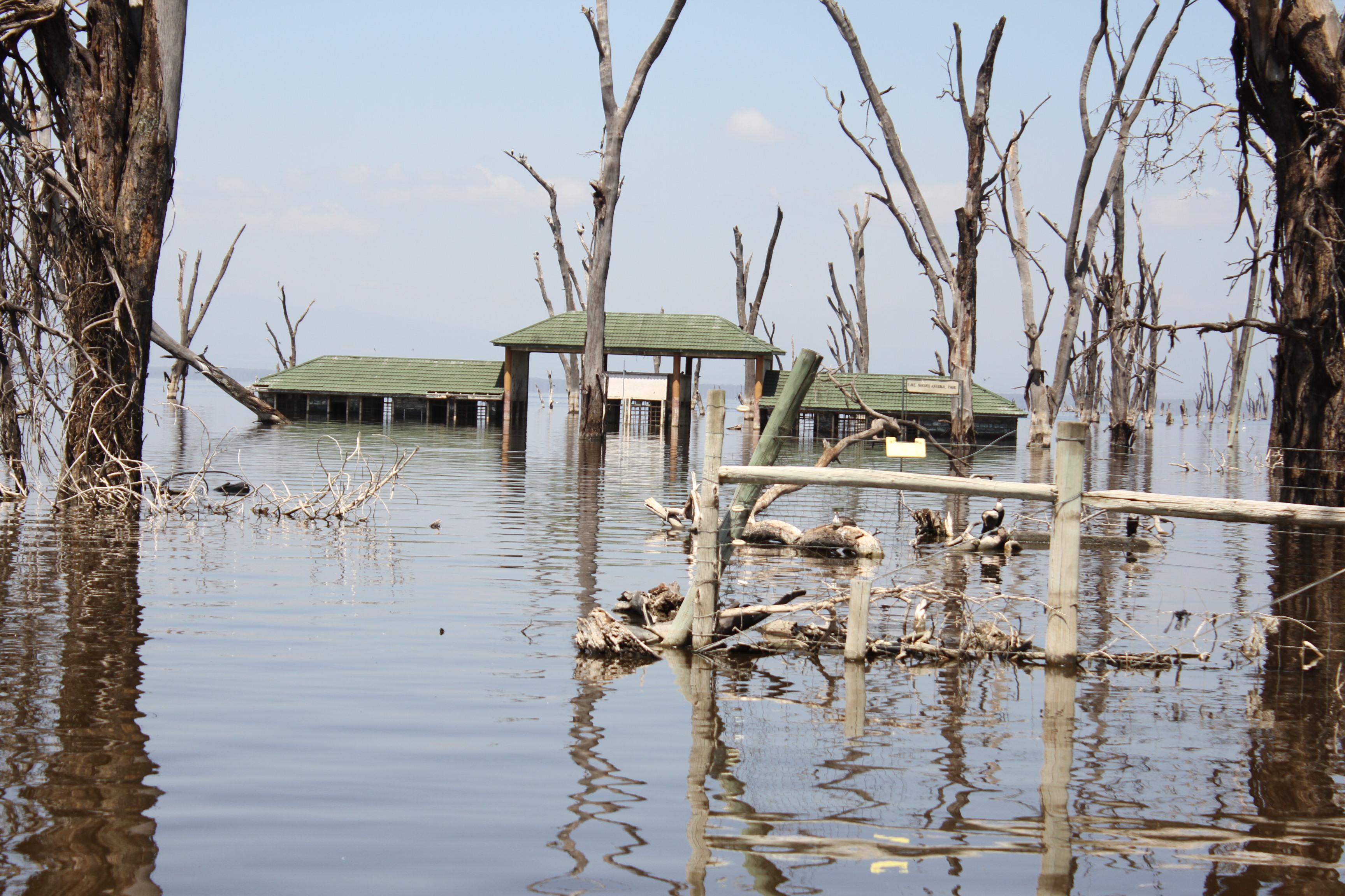 MPs Demand Urgent Action Over Flooding, Sewage Pollution at Lake Nakuru National Park   Copy headline